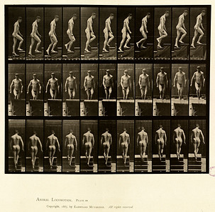 24 - Vol 1 - Plate 88